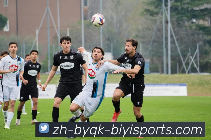 必一体育官方网站发展历程